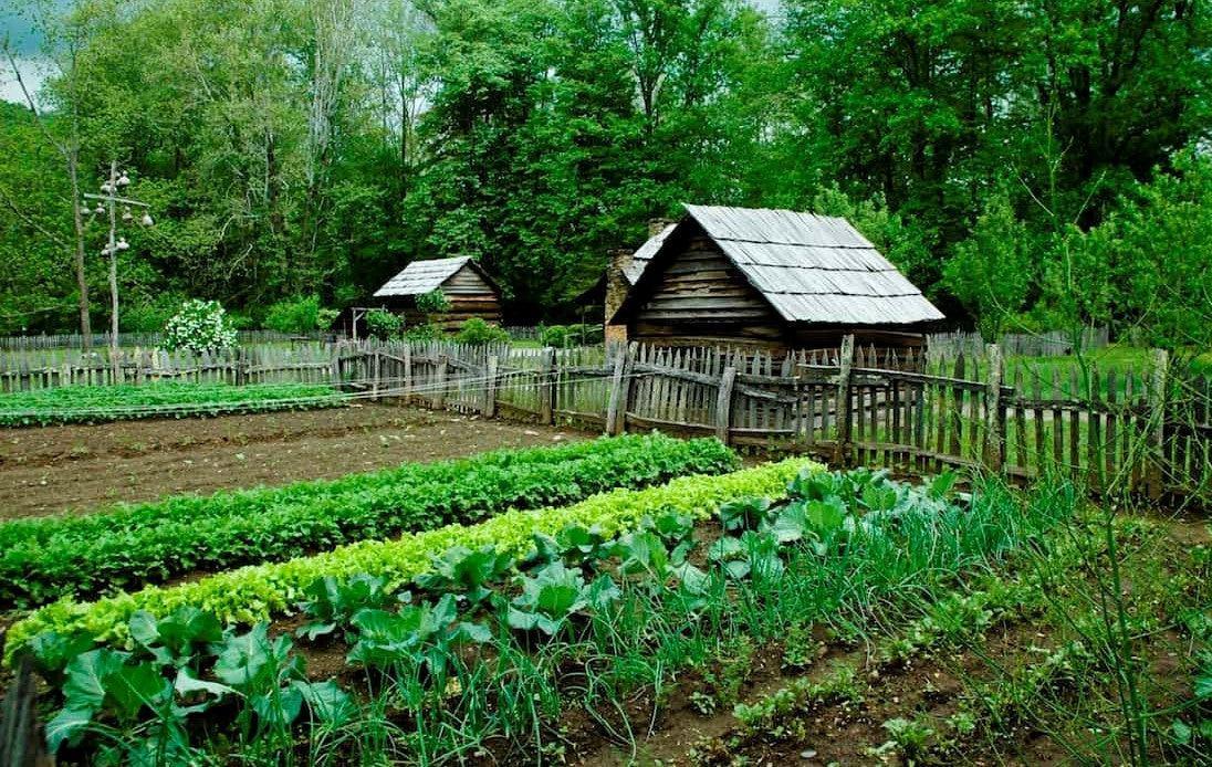 12 Ways To Make An Extra $1000 A Month On A Small Homestead 