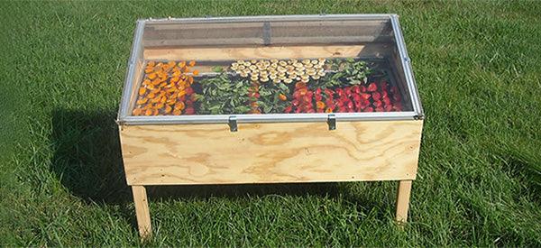 50 Foods to Dehydrate for Your Stockpile 
