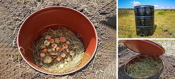 How To Make A Mini Root Cellar (Under 2 Hours) 