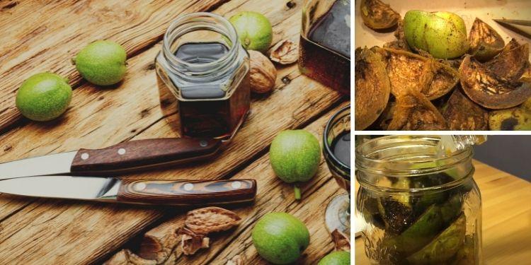 How To Make An Iodine Rich Black Walnut Tincture 