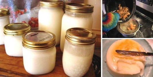 How To Make Long-Lasting Tallow For Survival 