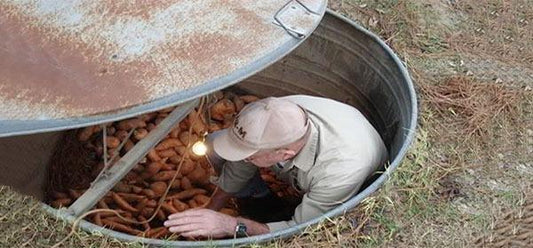 How To Make a Mini Root Cellar In Your Backyard In Less Than Two Hours 