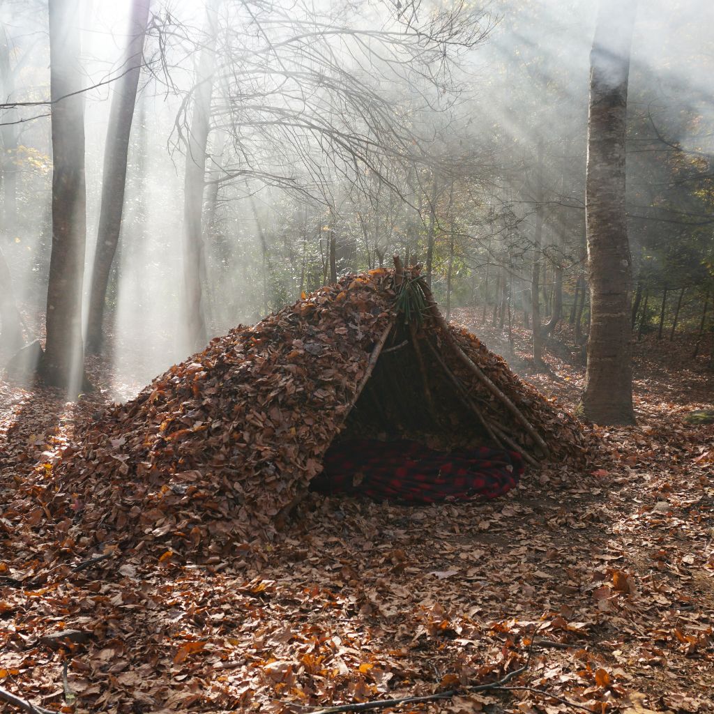 Shelters and Survival Structures American Survivalist