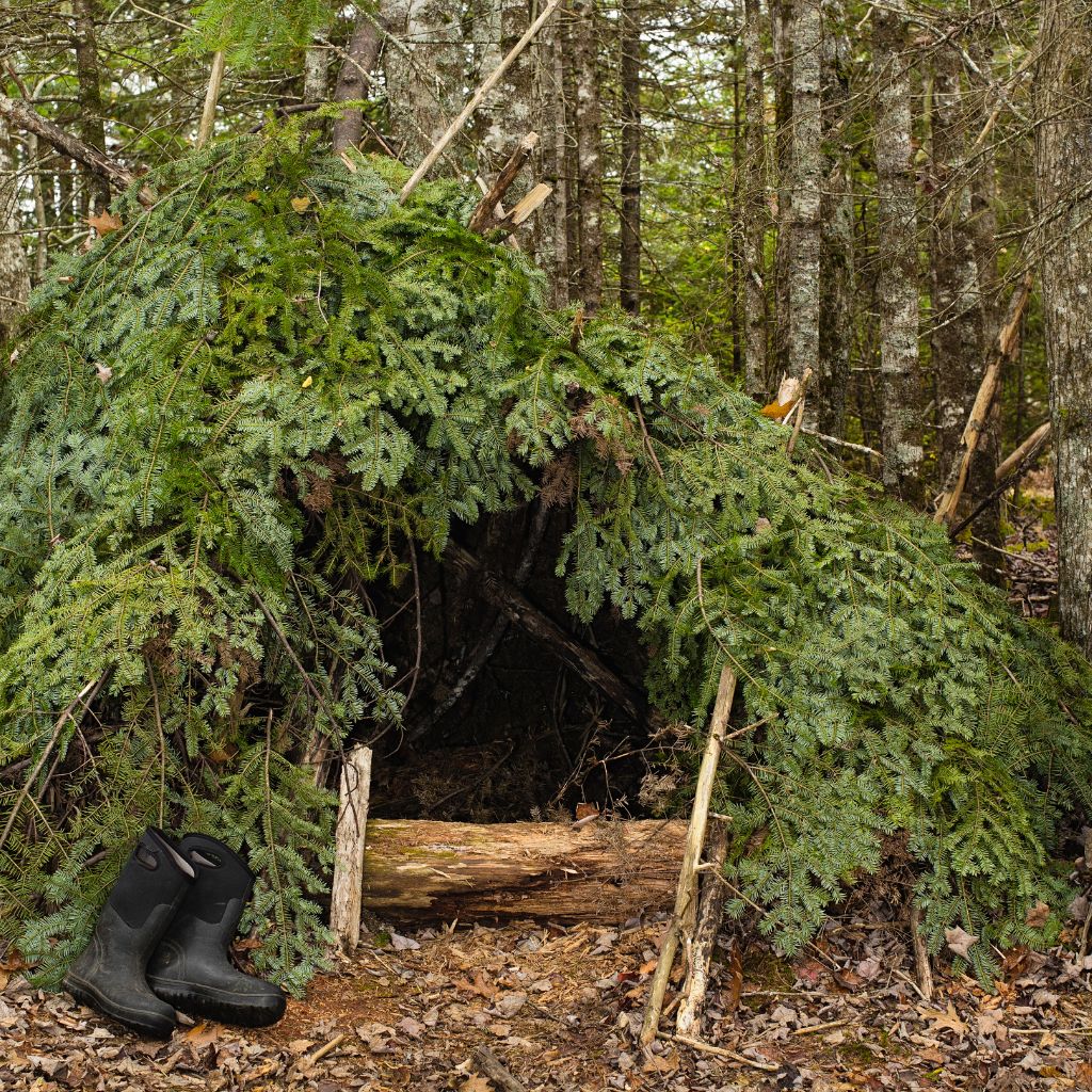 Survival Techniques & Tips American Survivalist