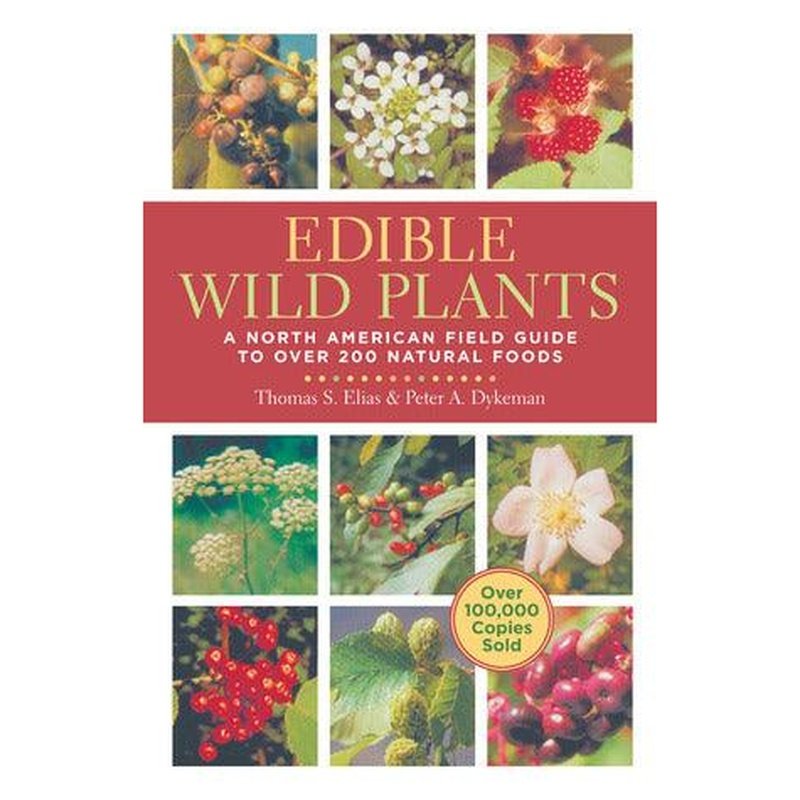 Edible Wild Plants: A North American Field Guide American Survivalist