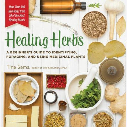 Healing Herbs: A Beginner's Guide to Identifying, Foraging, & Using Medicinal Plants American Survivalist